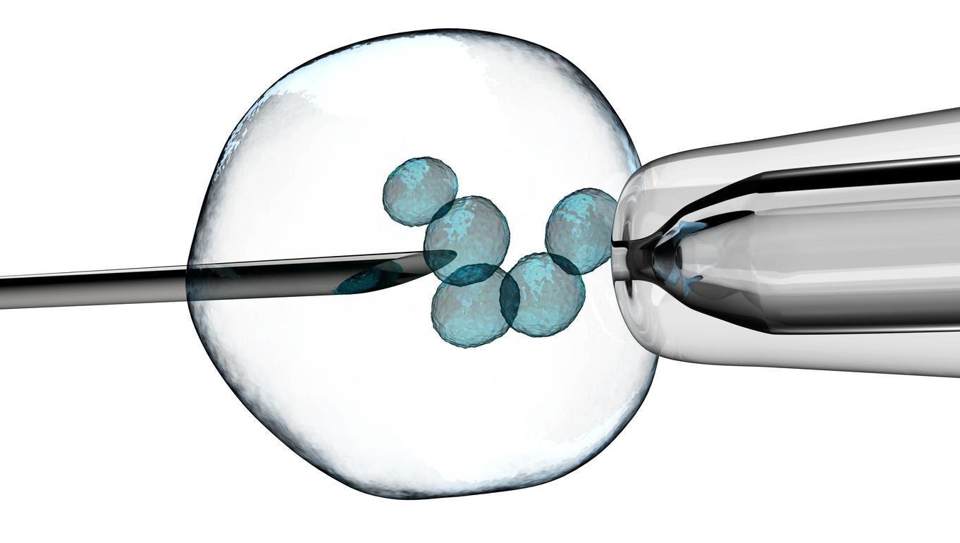 Best IVF Centre